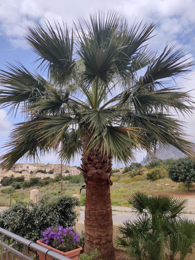 לינה וארוחת בוקר קוסטונאצ'י Raggi Di Sole מראה חיצוני תמונה